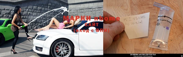прущие грибы Магадан