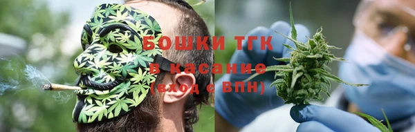 прущие грибы Магадан