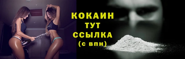 прущие грибы Магадан