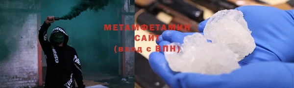 прущие грибы Магадан