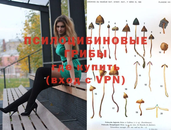 MDMA Premium VHQ Медногорск
