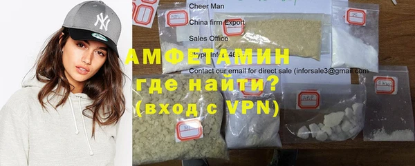 прущие грибы Магадан
