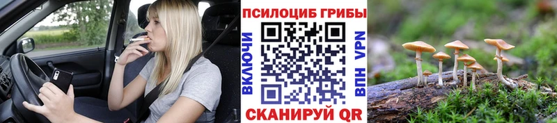 Купить где  Балахна  Псилоцибиновые грибы Magic Shrooms 